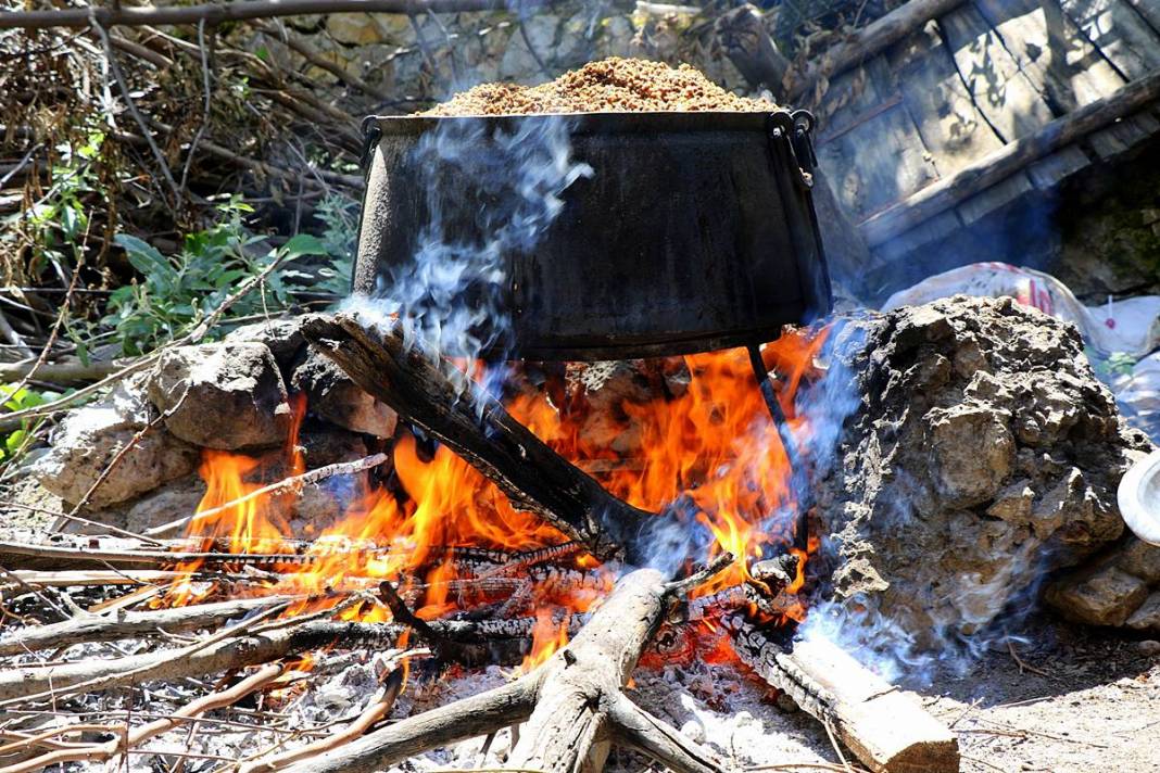 Anadolu'nun mucizesi: Doğal enerji kaynağı! Doğal beslenme akımının yeni yıldızı: Dut pekmezi 7